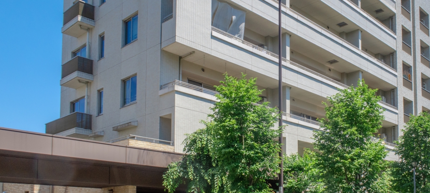 イメージ｜特徴